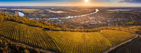 Tokaj wine region .